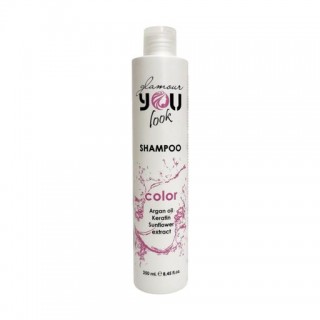 Шампунь для фарбованого та пошкодженого волосся You look Professional Color Shampoo 250 мл