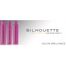 Мусс сильной фиксации для окрашенных волос Schwarzkopf Silhouette Color Brilliance Mousse 500 мл