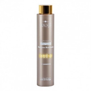 Шампунь для надання блиску Hair Company Inimitable Style 250 мл