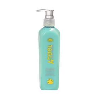 Шампунь подвійне відновлення Angel Professional 250 мл