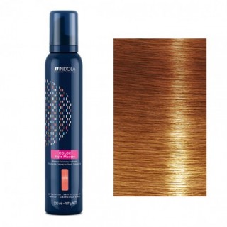 Myc для фарбування волосся Indola Color Style Mousse  світло-коричневий горіховий 200 мл